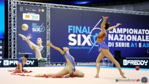 esibizioni farfalle ph simone ferraro sfa07091 copia